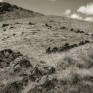 Fold, Glen Taitneach © George Logan