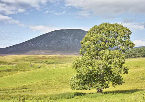 Carn Liath from Shinigag &copy; George Logan 2026