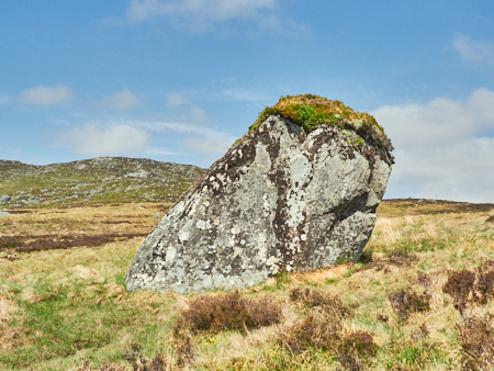 Erratic boulder &copy; George Logan