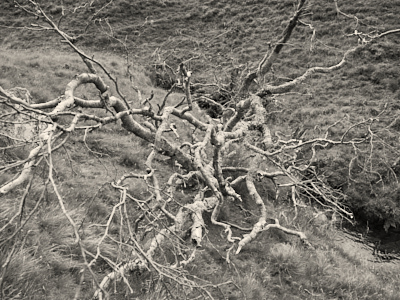 Gleann Beag © George Logan 2026