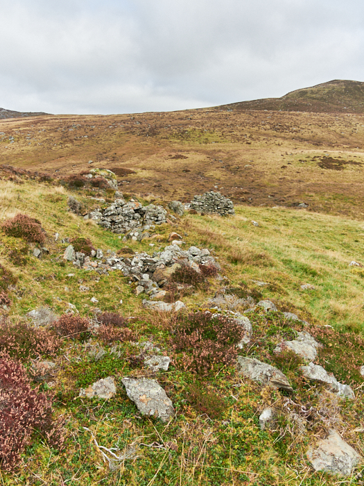 Riecharlotte &copy; george logan